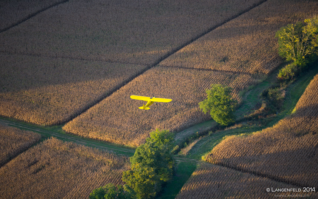 Piper Cub