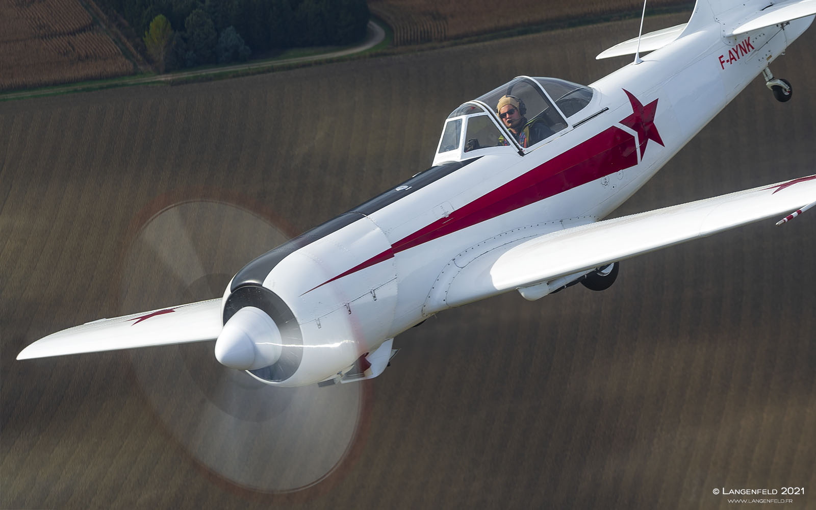 Yak50