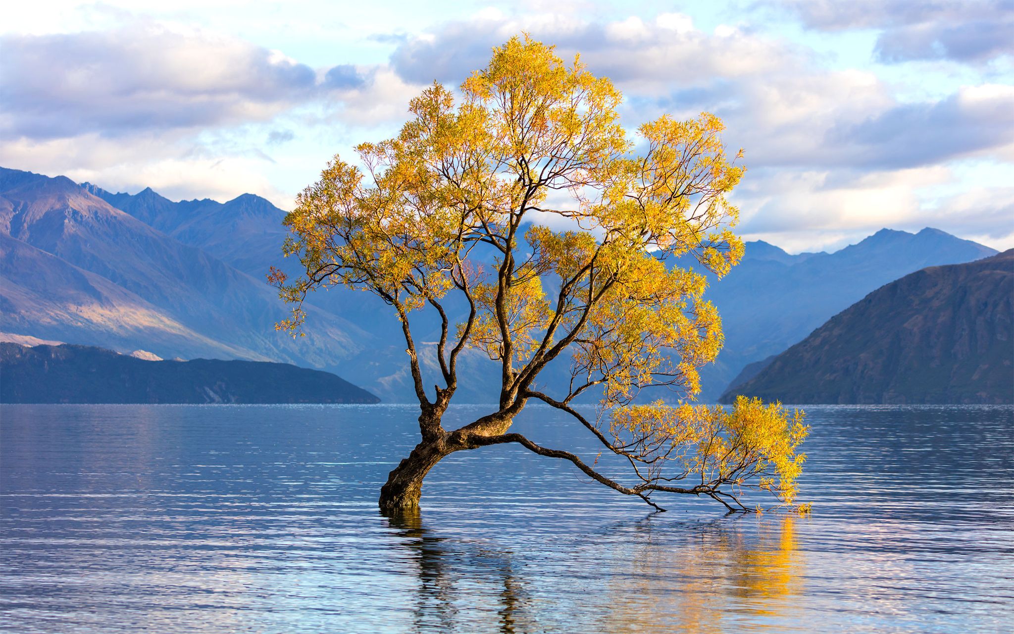 PEL 9759 1rrrr profil ICC 2560